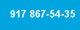 917 867-54-35